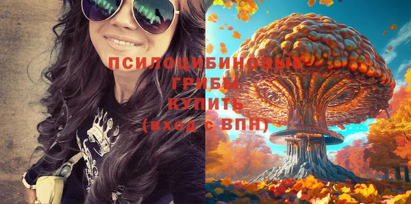 дмт Абинск