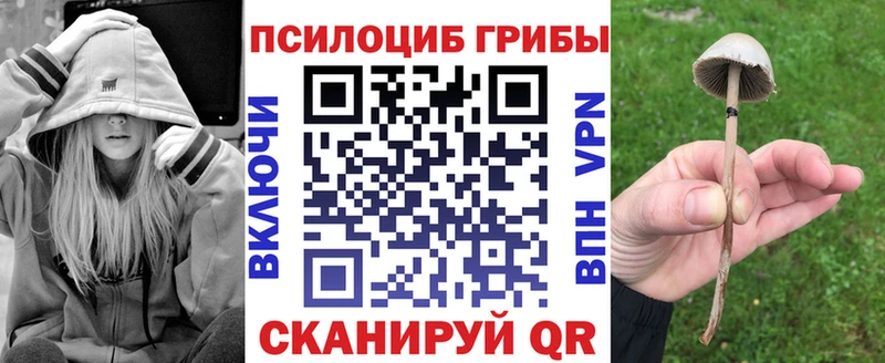 купить закладку  Белый  Псилоцибиновые грибы Psilocybine cubensis 